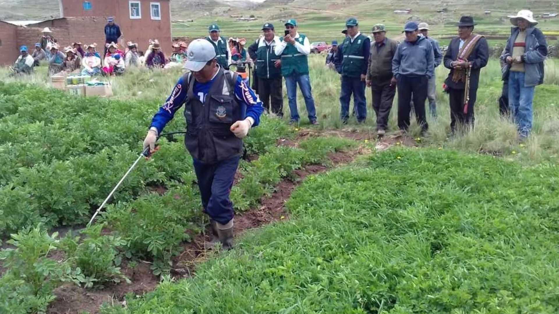 Alcaldes de la Región Puno se reunen con Agro Rural LIMA