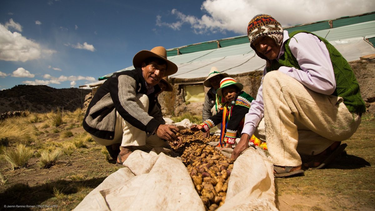 Proteger la agricultura en tiempos de pandemia